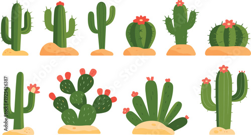 Cartoon cactus desert set illustration, blooming succulents and saguaro plants flat vector isolated on white