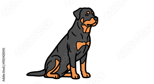 Sitting Rottweiler Dog, Loyal Companion, Domestic Pet, Guard Dog Breed, Animal Portrait