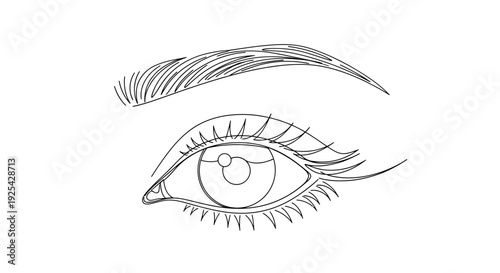 Detailed Line Drawing of a Human Eye and Eyebrow, Sketch Style