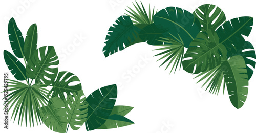 Tropical leaf border illustration, lush green palm and monstera foliage frame flat vector isolated on white background