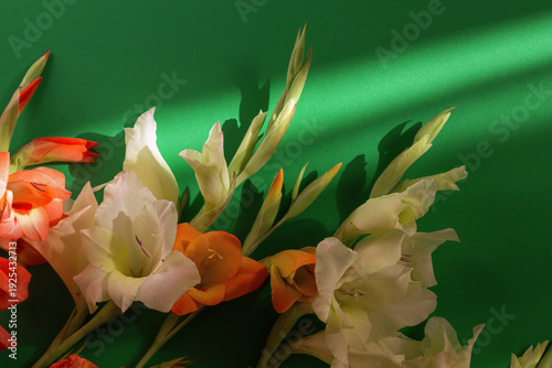 Wallpaper Mural Floral composition made of colorful gladiolus flowers bouquet on a green background with window frame shadow. A natural aeshtetic. Torontodigital.ca