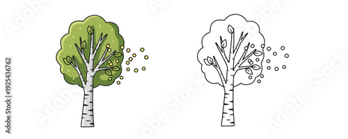 Birch tree with green leaves releasing yellow pollen grains shown in colored and black and white outline styles representing seasonal spring allergy and nature on white background
