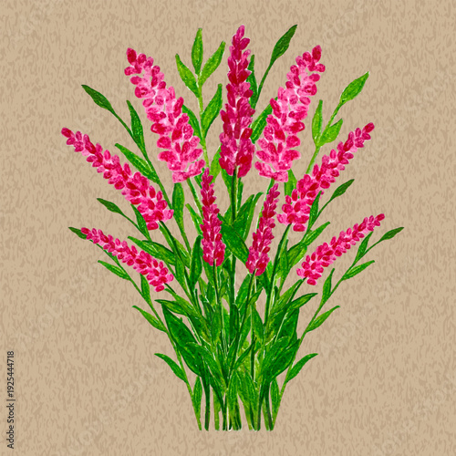 Colorful Pink Loosestrife and Green Branch Multicolored Bouquet with Colored Pencil Drawing Texture on Craft Paper Brown Realistic Background. Vector Flowers Arrangement Chalk Pastel