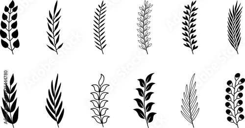 set of wheat ears