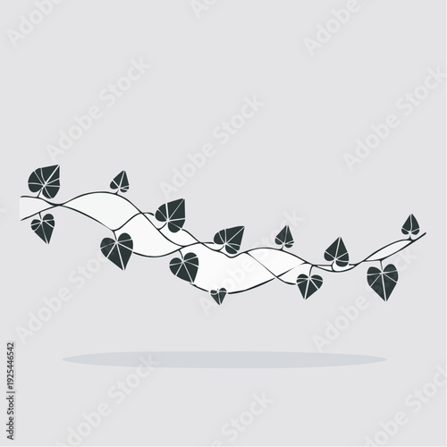 Decorative organic vine with stylized leaves, simple minimalist design, elegant and natural