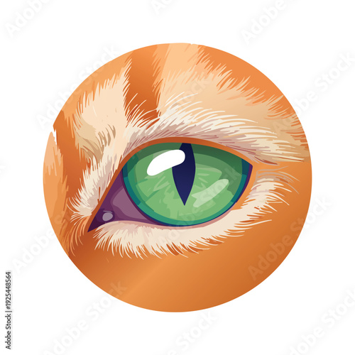 Close up of a cat eye with vivid green iris and orange fur
