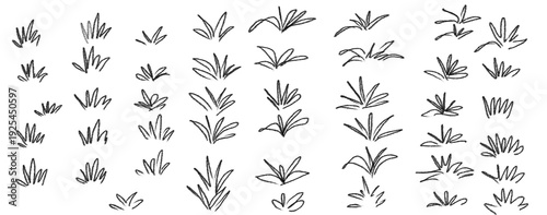 Set of hand drawn grass tufts and plant doodles isolated on white background	