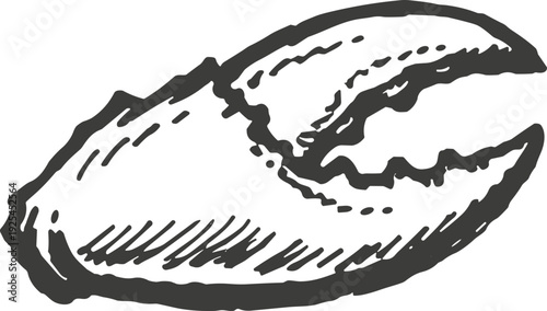 Hand-drawn illustration of a crab claw, symbolizing strength and defense in nature