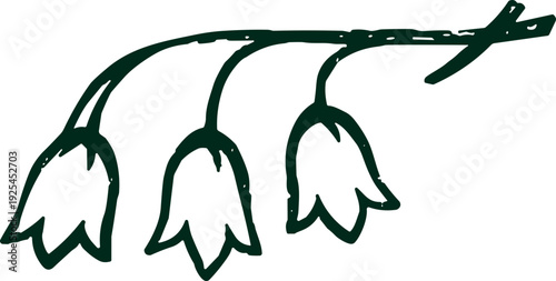 Delicate hand-drawn sketch of three lily of the valley flowers on a stem