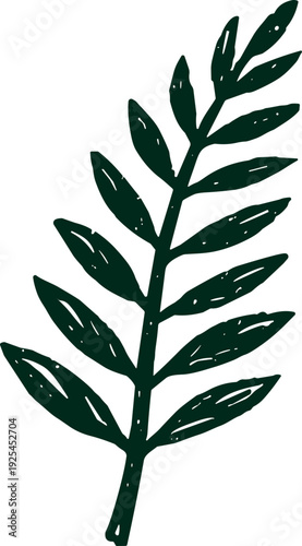 Hand-drawn dark green olive branch illustration with simple leaves on a white background