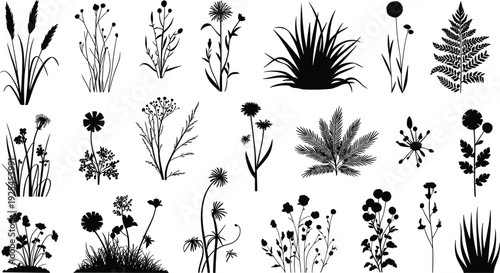 PrintBotanical silhouettes, plant shapes, flower outlines, leaf diversity, nature illustration, garden design, flora collection, foliage art, organic pattern, natural elements, plant study, 