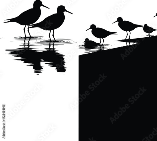 Black Silhouette of Shorebirds and Sandpipers Foraging on the Beach Shoreline with Water Reflections and Coastal Wetland Wildlife Scene Isolated on White Background