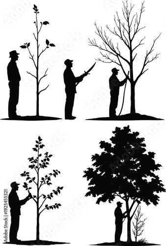 Black silhouette collection of gardeners and arborists pruning trees with saws and shears for seasonal orchard maintenance landscaping and professional tree care service