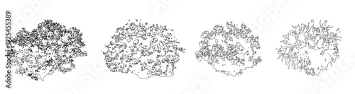 Bild auf Leinwand Set of shrubs and bushes in elevation view for use in architectural drawings - i