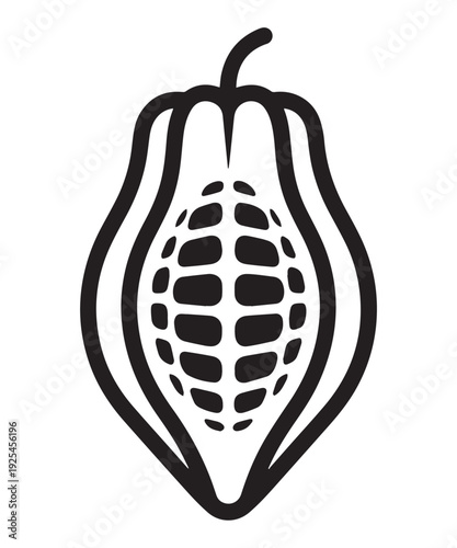 Fresh organic cocoa fruit, isolated on white and black background as object