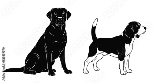 Black and white minimalist silhouettes of sitting Labrador Retriever and standing Beagle dogs, high contrast vector pet illustration for animal lovers, 2026.