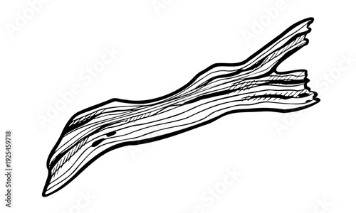 Driftwood vector illustration in engraving style. Hand drawn wood branch painted by black inks on isolated background for tundra landscape. Linear drawing of log for wildlife scenes.