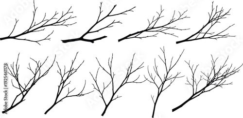 Black bare tree branch silhouette set, winter twig shapes, natural botanical elements collection, vector illustration isolated on white background