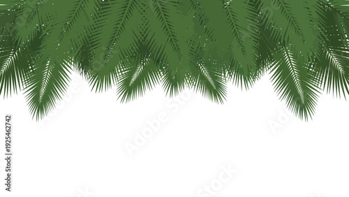 Vibrant green palm leaves framing tropical foliage.