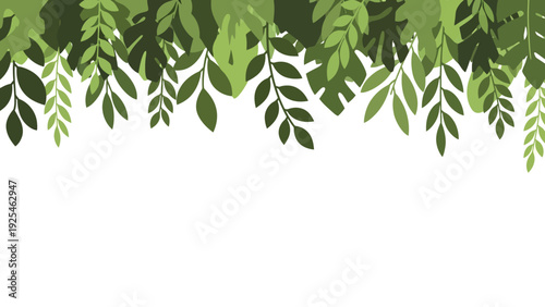 Close up of green hanging leaves and foliage.