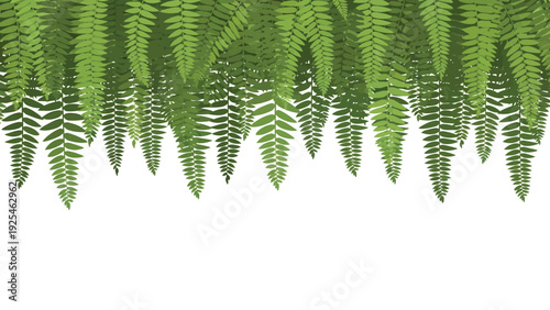 Close Up Fern Fronds Hanging Vertically.
