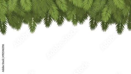 Closeup of Dense Evergreen Branches and Pine Needles.