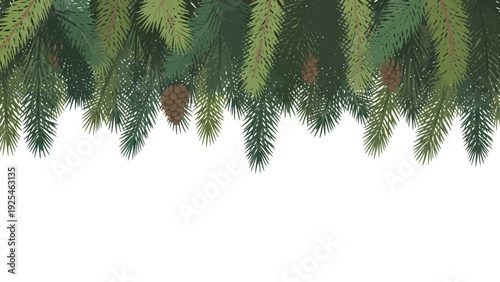 Close up view of evergreen pine branches forming a natural frame.