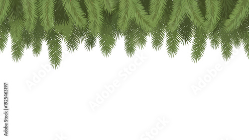 Dense evergreen pine trees form a green canopy.