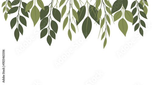 Green Hanging Leaves Forming a Verdant Curtain.