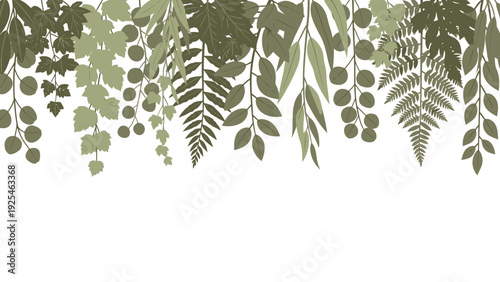 Hanging Fern Fronds and Green Foliage.