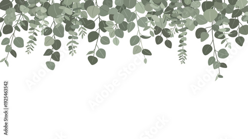 Hanging green leaves cascading foliage forming natural canopy.