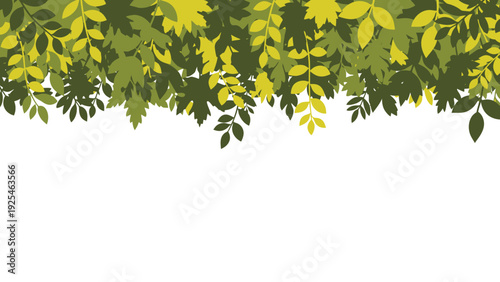 Hanging Green Leaves Creating A Natural Border.