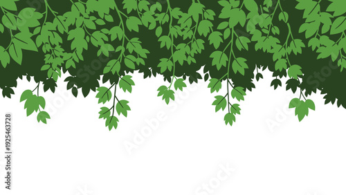 Hanging Ivy Leaves Forming a Dense Green Curtain.