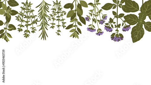 Hanging herbs and lavender sprigs along border.