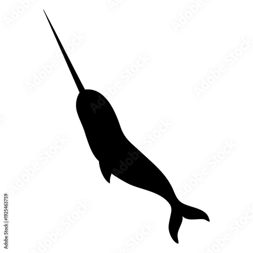 Arctic Narwhal with long tusk vector illustration. Silhouette of sea animal painted by black inks on isolated background. Shadow of marine cetacean for ocean wildlife, tundra fauna themes.