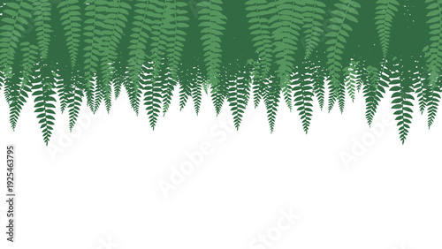 Lush Fern Fronds Draping Across Frame.