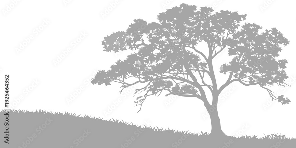 Fototapeta premium A solitary tree standing on a gently sloping hillside landscape