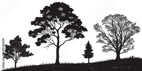 Silhouette of three trees against a gentle rolling hill landscape at dusk.