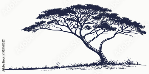 Elegant monochrome sketch of a solitary acacia tree with sprawling branches