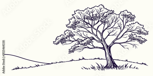 A solitary tree standing on a gentle slope in a minimalist landscape sketch