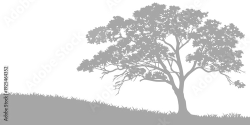 A solitary tree standing on a gently sloping hillside landscape