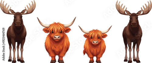 Moose and Highland cattle cartoon vector illustration set, cute farm and wildlife animals, detailed character collection isolated on white background