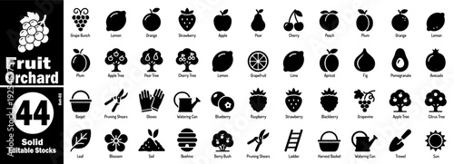 Fruit orchard solid icons. Plum apple tree pear cherry lemon apricot fig vector illustration.