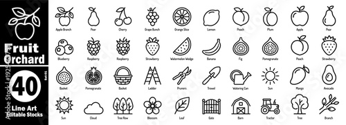 Fruit orchard line art icons: apple, pear, cherry, grape, orange, lemon vector illustration.