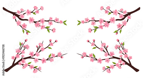 Set of Four Cherry Blossom Branches with Pink Flowers and Green Leaves. Vector Illustrations. EPS Editable