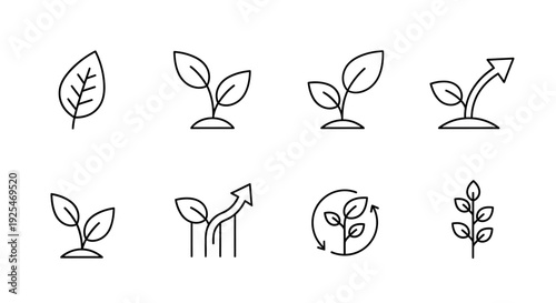Set of line icons depicting plant growth and development stages.