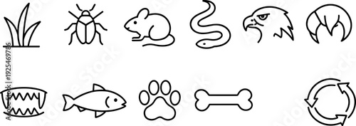 Collection of simple line icons representing elements of a food chain and animal life