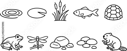 Collection of simple line art icons representing pond life and elements