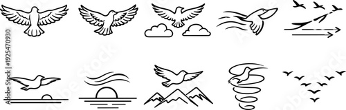 Collection of stylized bird icons representing flight, nature, and movement