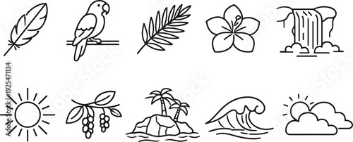 Collection of tropical nature icons in a simple line art style
